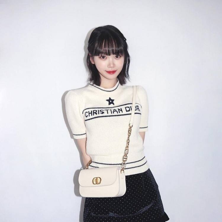 디올 30 몽테인 에비뉴 백