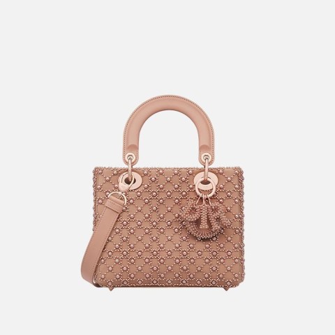 디올 LADY DIOR Rose des Vents 스몰 백