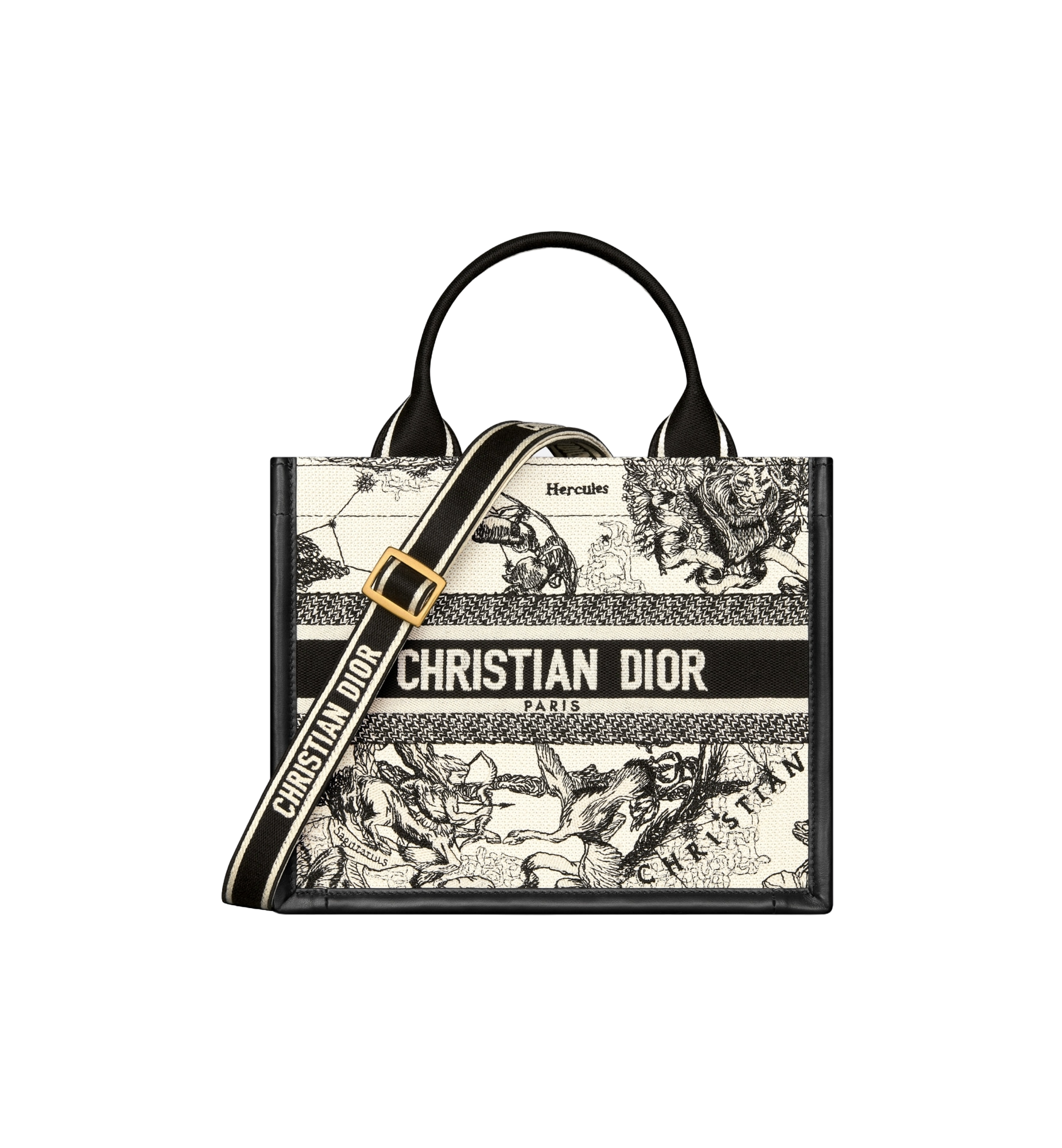 디올 북 토트 스몰 백 라떼 멀티 컬러 Dior Zodiac